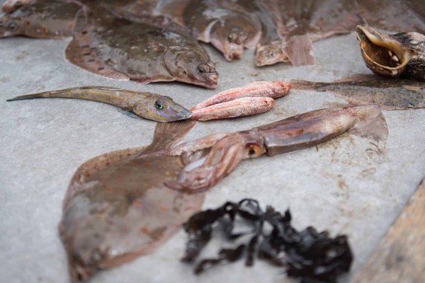 Comment anticiper les évolutions économiques pour optimiser vos placements